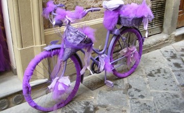 Purple bicycle